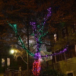 2016-12 France/Annecy/DSC_0038.JPG